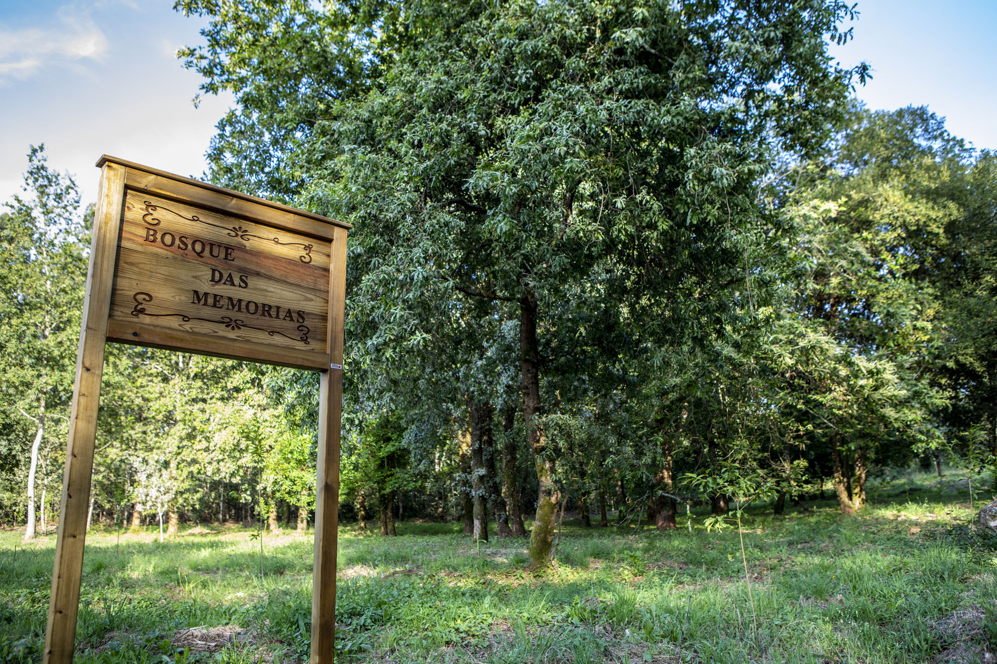 Photo courtesy of the Montes de Couso community, where the project is being carried out.