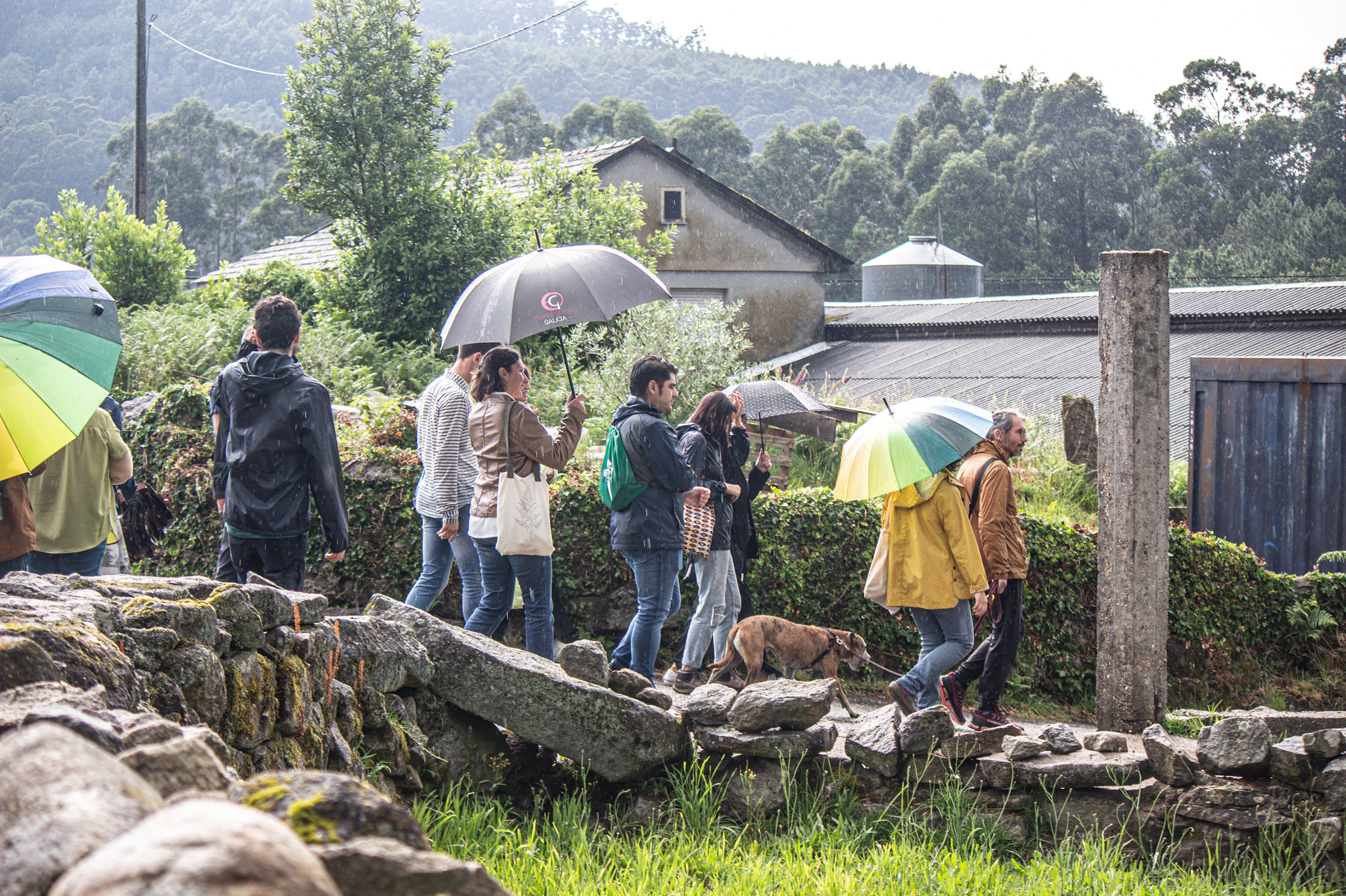 Tour of the Couso Mountains, as part of the first public activity of the project (c) Andreia Iglesias